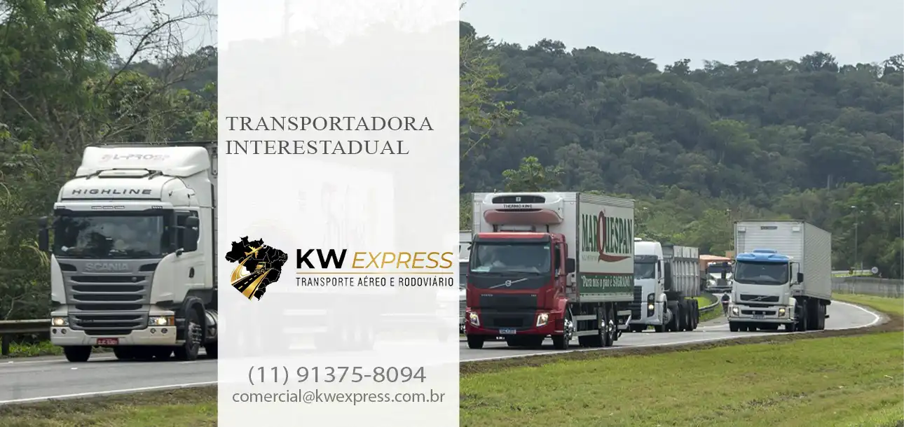 Transportadora Interestadual